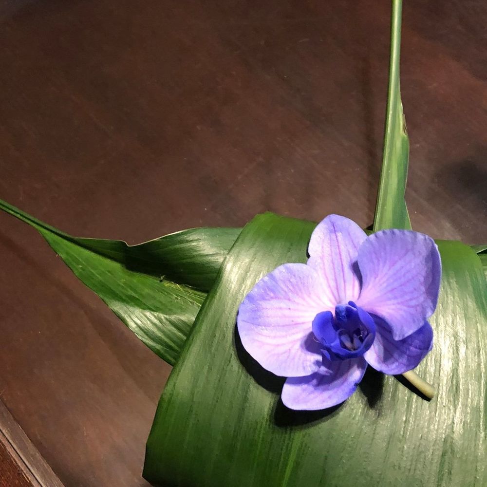 Meet your Posher, Asha